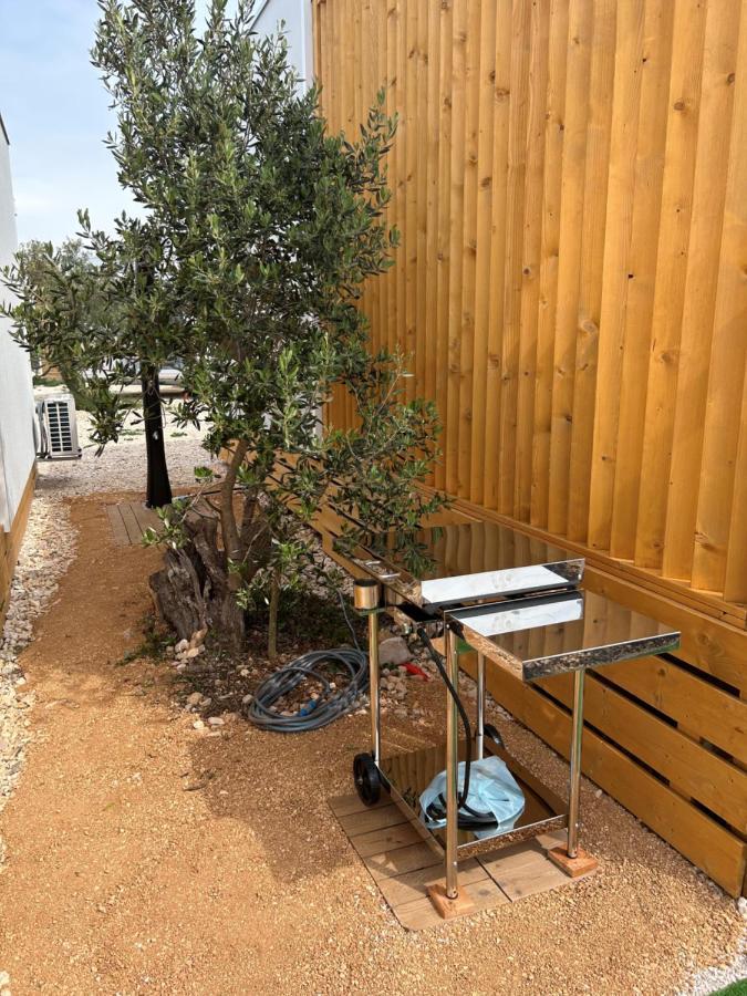 Campsite O'live Premium Mobile *