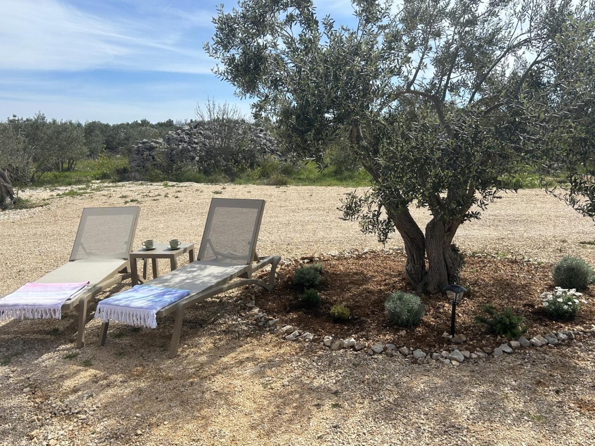 Campsite O'live Premium Mobile